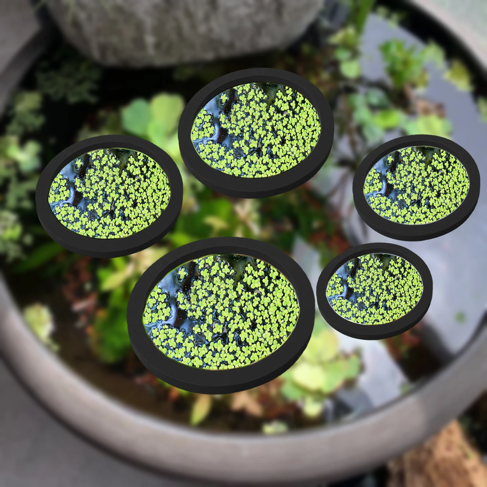 Aquarium Fish Tank - 5 pz EVA Anello di Alimentazione