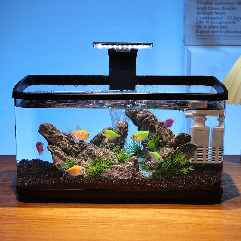 Fish Aquarium Home - Acquario da tavolo con filtro a