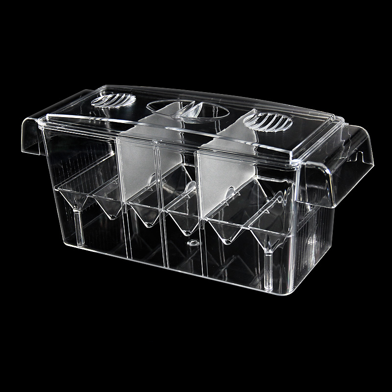 Trasparente Acquario Serbatoio - Betta Fish Tank recensione e prezzo