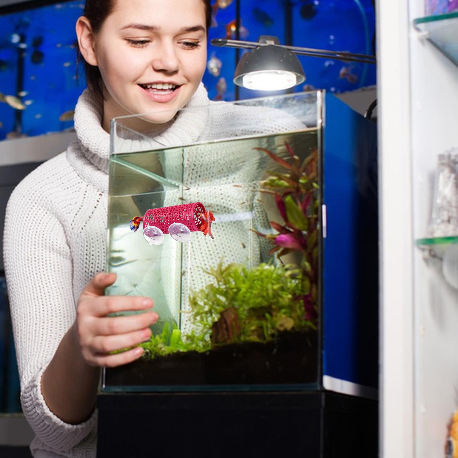 Tunnel Giocattolo per Pesci Be - Aquarium Fish Betta recensione e prezzo