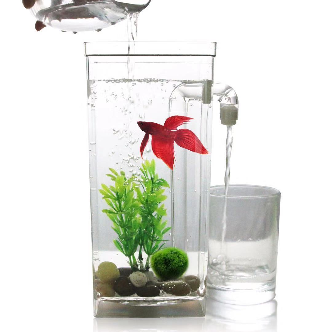 Serbatoio per pesci da tavolo  - Betta Fish Tank recensione e prezzo