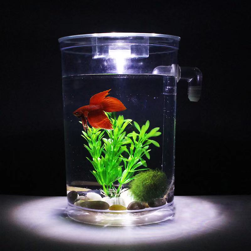 Serbatoio per pesci da tavolo  - Betta Fish Tank recensione e prezzo