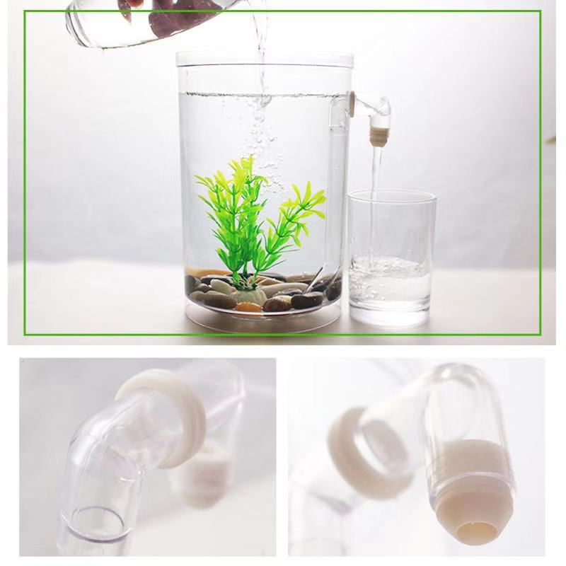 Serbatoio per pesci da tavolo  - Betta Fish Tank recensione e prezzo