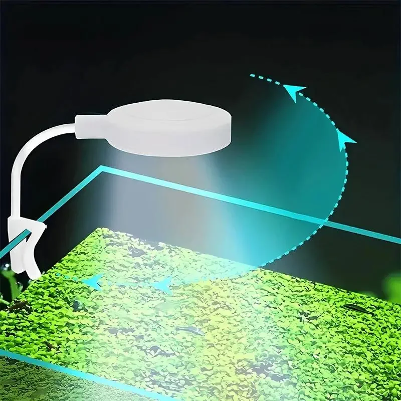 Luce per acquario con adattato - Aquarium Light recensione e prezzo