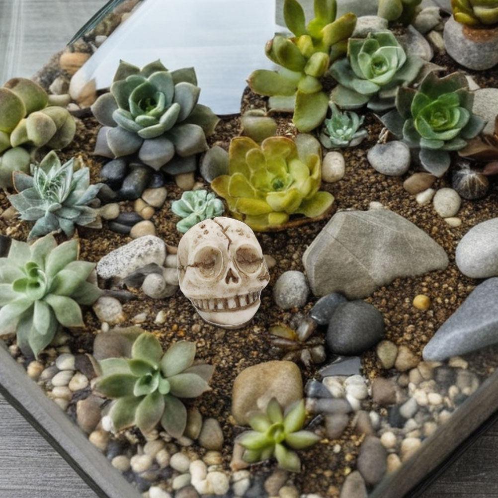 20 pezzi di ornamenti a forma  - Aquarium Decor recensione e prezzo