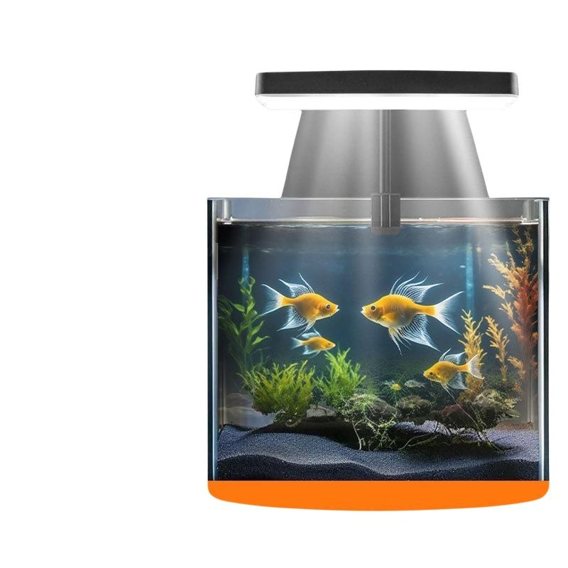 Lampada LED USB per Acquario c - Aquarium Light recensione e prezzo
