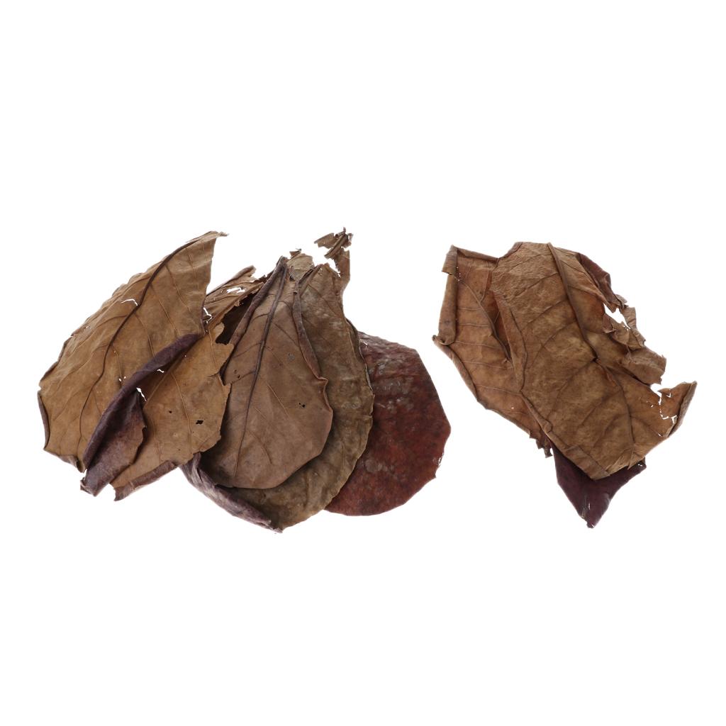 Additivo Filtrante per Acquari - Aquarium Fish Betta recensione e prezzo