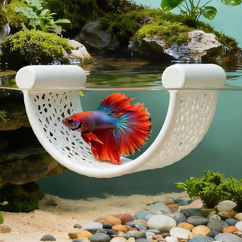 4 tunnel galleggianti per pesc - Aquarium Fish Betta recensione e prezzo