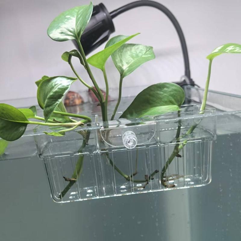Cestino per Piante Idroponiche - Fish Aquarium Home recensione e prezzo