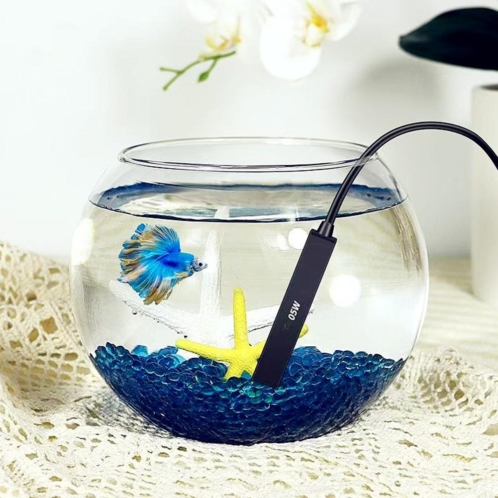 Mini Riscaldatore USB per Acqu - Fish Tank Heater recensione e prezzo