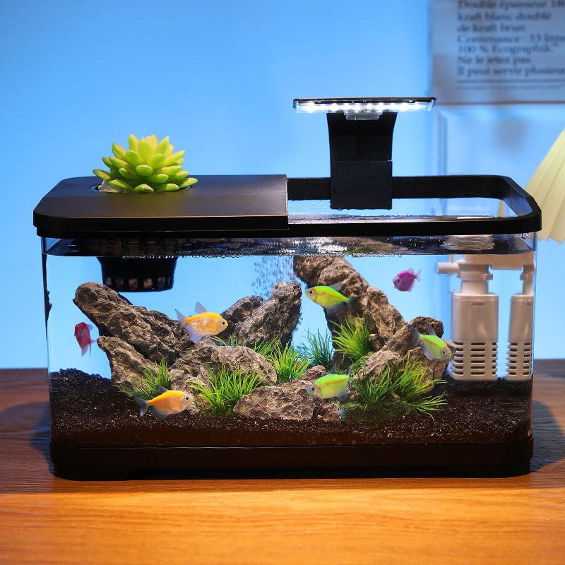 Acquario da tavolo con filtro  - Fish Aquarium Home recensione e prezzo