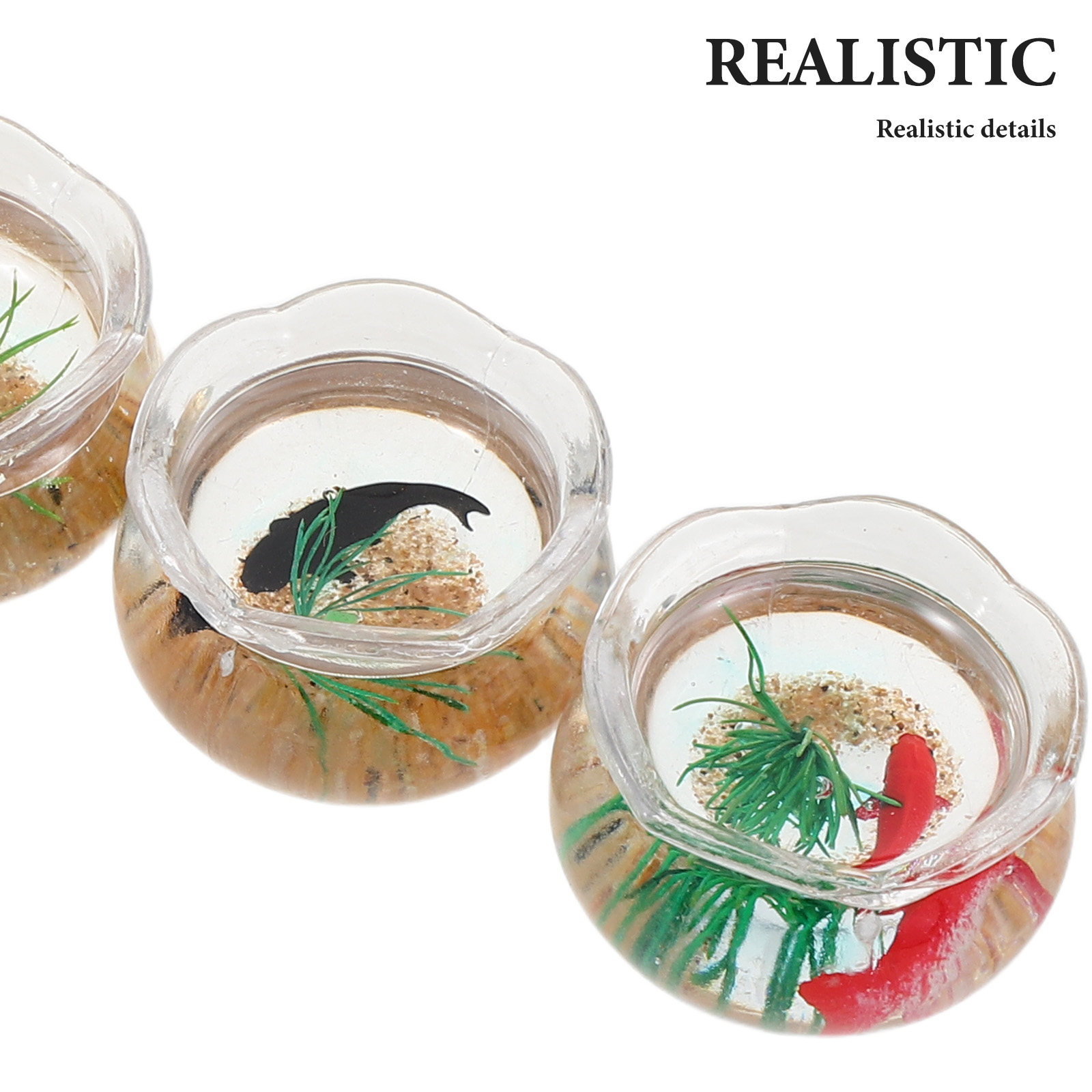 5 Pezzi Mini Acquario per Pesc - Aquarium Plants recensione e prezzo