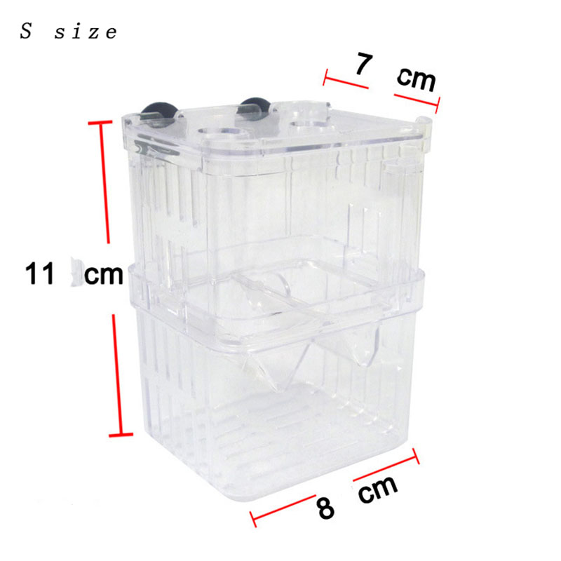 Scatola di isolamento per alle - Aquarium Fish Betta recensione e prezzo