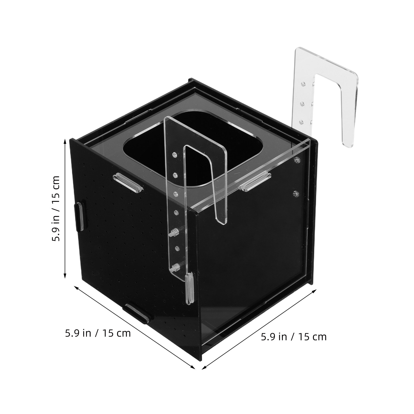Scatola di isolamento per l'al - Aquarium Fish Betta recensione e prezzo